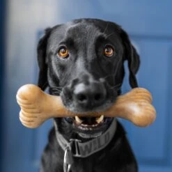 Lumabone Bulkster Beef Flavor Dog Toy -Pet Toys Shop 370204 PT4. AC SS1800 V1646795884