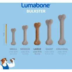 Lumabone Bulkster Beef Flavor Dog Toy -Pet Toys Shop 370204 PT5. AC SS1800 V1646765525