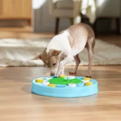 Frisco Seek & Discover Interactive Puzzle Dog Toy, Moderate -Pet Toys Shop 506250 PT5. AC SS1800 V1674664929