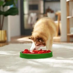 Frisco Watermelon Interactive Puzzle Dog Toy, Advanced -Pet Toys Shop 506322 PT5. AC SS1800 V1674667034