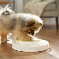 Frisco Tiered Cake Interactive Puzzle Dog Toy, Easy -Pet Toys Shop 506346 PT5. AC SS1800 V1674666566