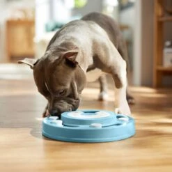 Frisco Two Tier Interactive Puzzle Dog Toy, Easy -Pet Toys Shop 506370 PT5. AC SS1800 V1674671566