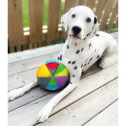 FouFIT Hide 'n Seek Disc Dog Toys, Multicolor -Pet Toys Shop 528302 PT3. AC SS1800 V1657658561