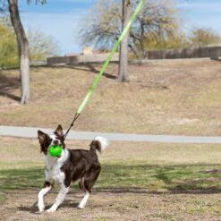 Jolly Pets Tree Tugger Rope Tug Dog Toy -Pet Toys Shop 528366 PT5. AC SS1800 V1651164717