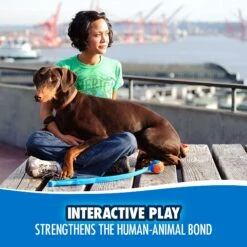 Chuckit! Junior Launcher Dog Toy, Color Varies -Pet Toys Shop 53212 PT4. AC SS1800 V1531444924