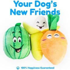 Pacific Pups Rescue Rope & Chew Dog Toy Variety Pack, 18 Count -Pet Toys Shop 532254 PT6. AC SS1800 V1692805976