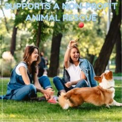 Pacific Pups Rescue Ball Dog Toy Variety Pack, 6 Count -Pet Toys Shop 532326 PT6. AC SS1800 V1692805977