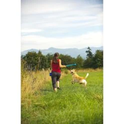 Chuckit! The Whistler Ball Dog Toy, Color Varies -Pet Toys Shop 53238 PT2. AC SS1800 V1531445513