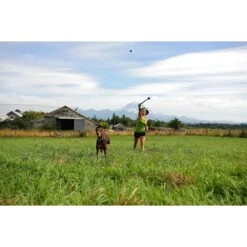 Chuckit! The Whistler Ball Dog Toy, Color Varies -Pet Toys Shop 53238 PT3. AC SS1800 V1531445532