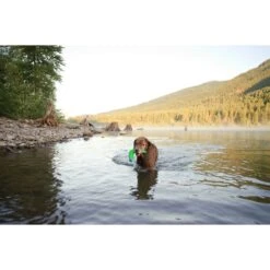 Chuckit! Amphibious Boomerang Dog Toy, Color Varies -Pet Toys Shop 53241 PT3. AC SS1800 V1510778334