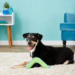 Chuckit! Amphibious Boomerang Dog Toy, Color Varies -Pet Toys Shop 53241 PT8. AC SS1800 V1510778346