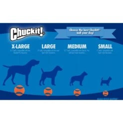 Chuckit! Rebounce Ball Twin Pack Dog Toy, Color Varies 10 Chuckit! Rebounce Ball Twin Pack Dog Toy, Color Varies -Pet Toys Shop 53261 PT7. AC SS1800 V1542656240