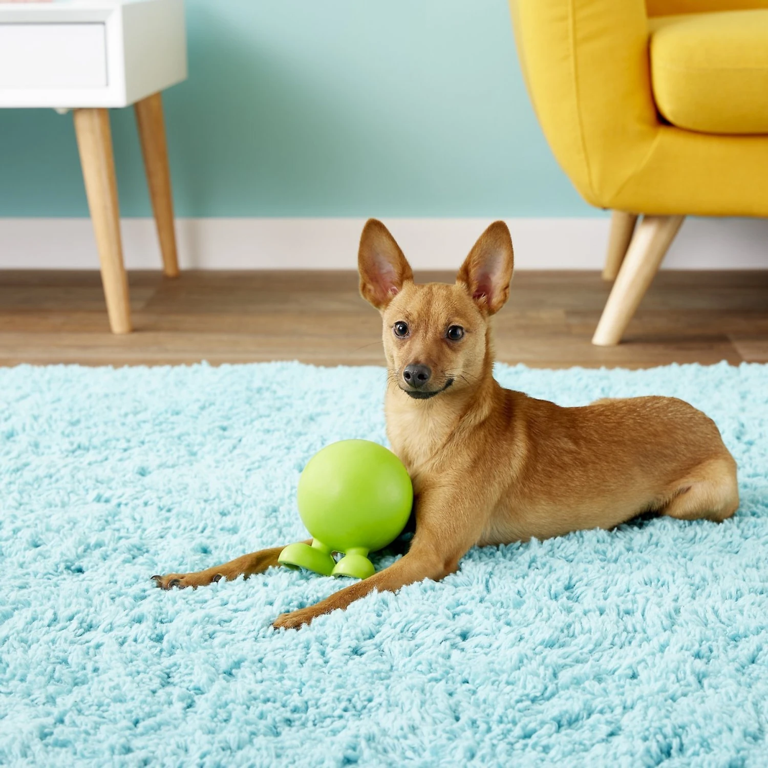 JW Pet Good Cuz Dog Toy, Color Varies 2 JW Pet Good Cuz Dog Toy, Color Varies - Image 2