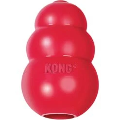 KONG Classic Dog Toy