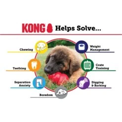 KONG Classic Dog Toy -Pet Toys Shop 53352 PT3. AC SS1800 V1603159897