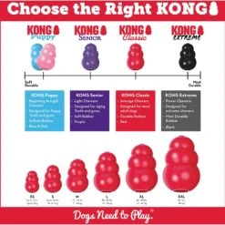 KONG Classic Dog Toy -Pet Toys Shop 53352 PT4. AC SS1800 V1603166186