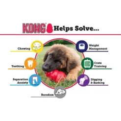 KONG Senior Dog Toy -Pet Toys Shop 53364 PT3. AC SS1800 V1603167989