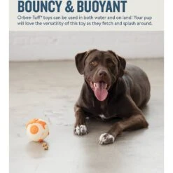 Planet Dog Orbee-Tuff Ball Tough Dog Chew Toy -Pet Toys Shop 53605 PT3. AC SS1800 V1646783190