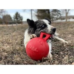 Pet Toys Shop -Pet Toys Shop 53630 PT1. AC SS1800 V1629243696