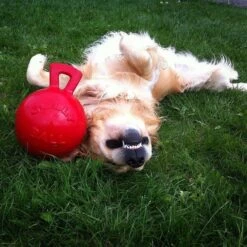 Jolly Pets Tug-n-Toss Dog Toy, Red -Pet Toys Shop 53630 PT2. AC SS1800 V1629241939