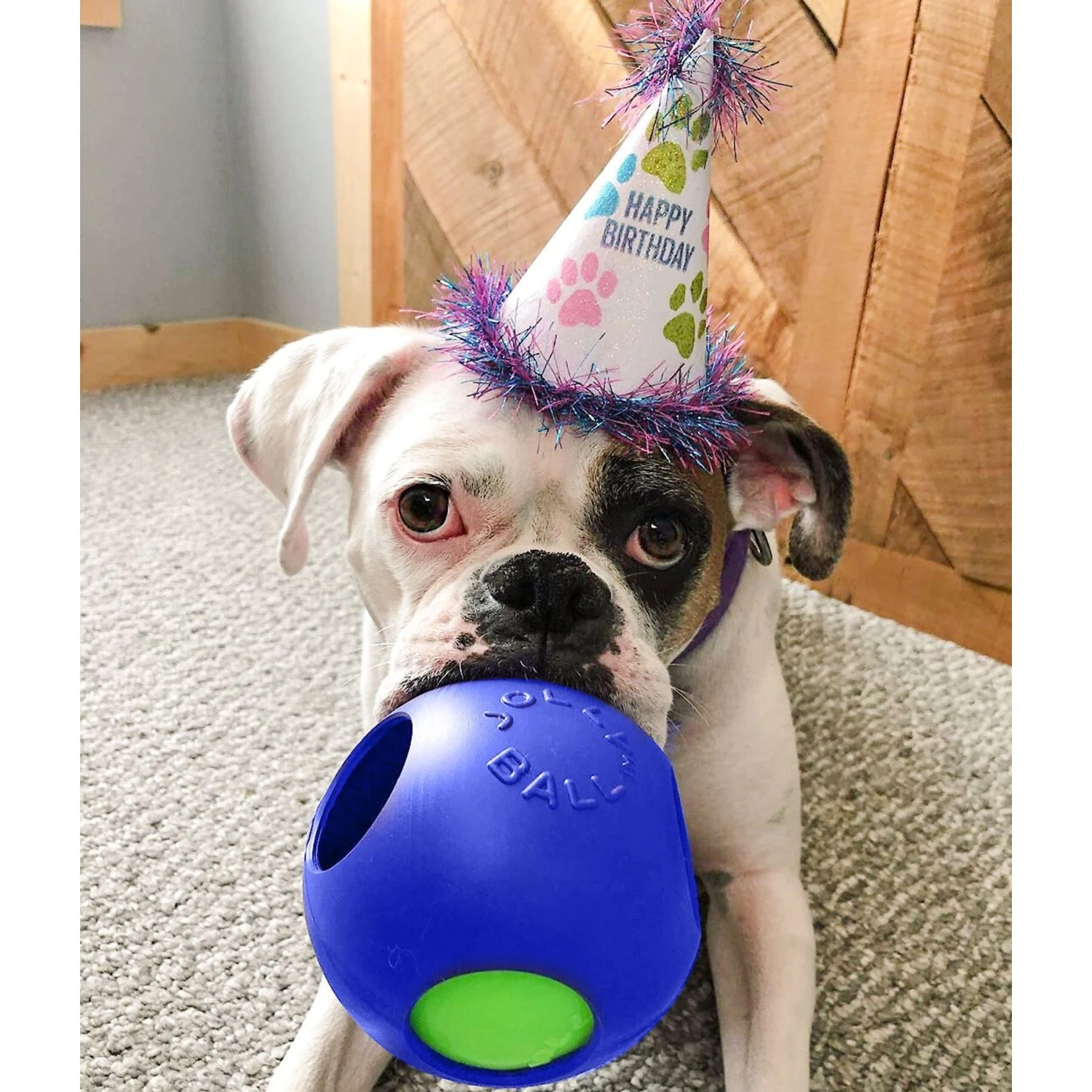 Jolly Pets Teaser Ball Dog Toy, Blue 2 Jolly Pets Teaser Ball Dog Toy, Blue - Image 2