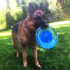 Ruff Dawg K9 Flyer Disc Dog Toy, Color Varies -Pet Toys Shop 53795 PT2. AC SS1800 V1602328559