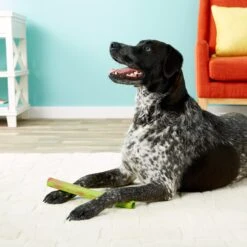 Ruff Dawg Stick Dog Fetch Toy, Color Varies -Pet Toys Shop 53803 PT8. AC SS1800 V1507036192