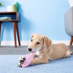 Ruff Dawg FlyingFish Dog Fetch Toy, Color Varies -Pet Toys Shop 53808 PT7. AC SS1800 V1515535539