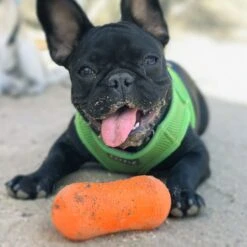 Ruff Dawg Peanut Treat Dispenser Dog Toy, Color Varies -Pet Toys Shop 53810 PT2. AC SS1800 V1602300361