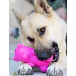 Ruff Dawg Gummy Bear Treat Dispenser Dog Toy, Color Varies -Pet Toys Shop 53877 PT4. AC SS1800 V1542666139