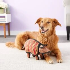 Tuffy's Arnie The Armadillo Plush Dog Toy -Pet Toys Shop 54123 PT2. AC SS1800 V1589492159