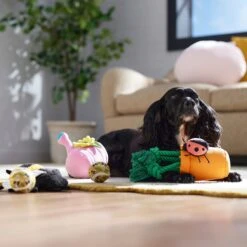 Frisco Spring Plush & Rope Variety Pack Squeaky Dog Toy -Pet Toys Shop 541526 PT4. AC SS1800 V1702500565