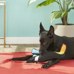 Tuffy's Togo Toucan Plush Dog Toy -Pet Toys Shop 54176 PT3. AC SS1800 V1589492511