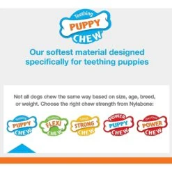 Nylabone Just For Puppies Teething Chew Toy Keys -Pet Toys Shop 54228 PT2. AC SS1800 V1693419290