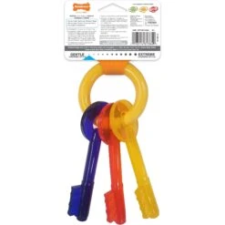 Nylabone Just For Puppies Teething Chew Toy Keys -Pet Toys Shop 54228 PT7. AC SS1800 V1693419654