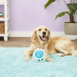 JW Pet Rockin Treat Ball -Pet Toys Shop 55169 PT2. AC SS1800 V1530541353