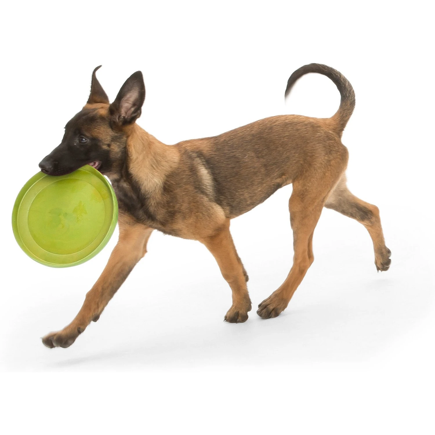 West Paw Zogoflex Zisc Flying Disc Dog Toy 3 West Paw Zogoflex Zisc Flying Disc Dog Toy - Image 3