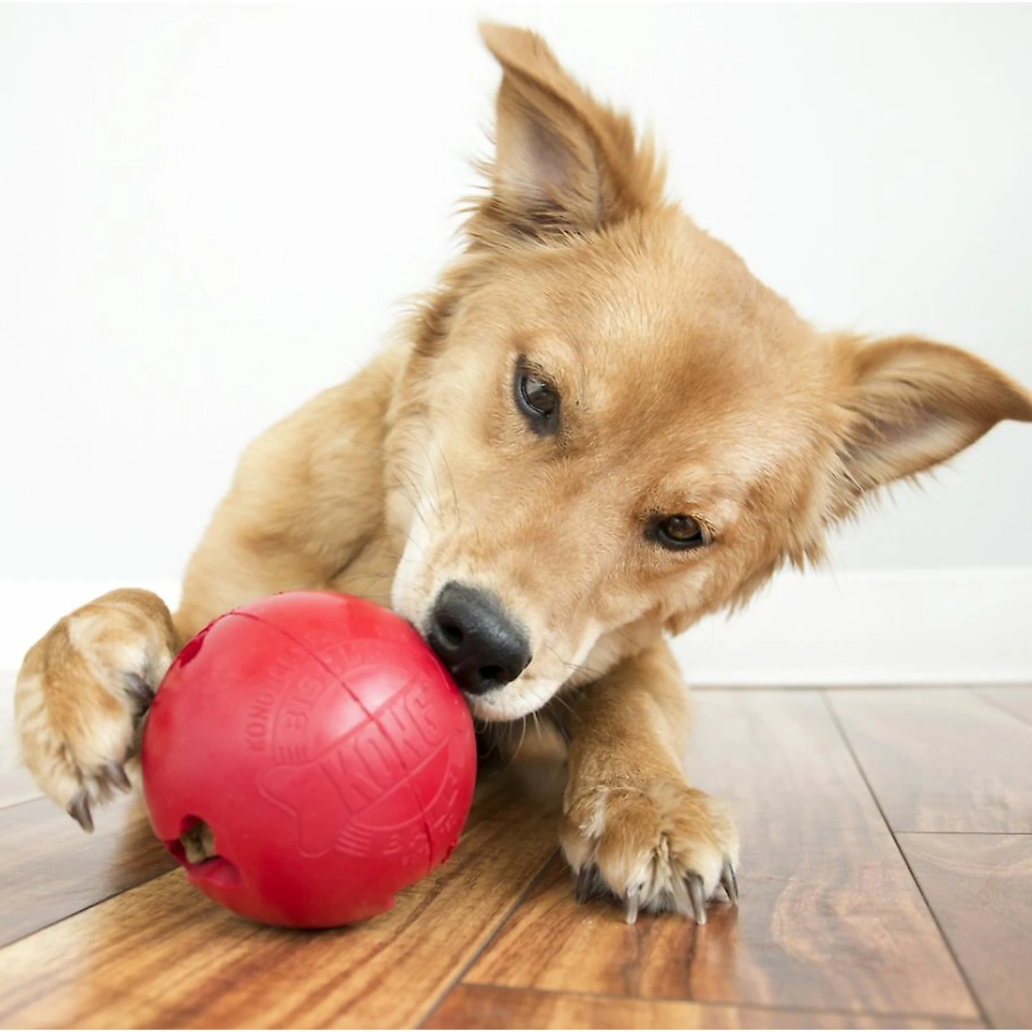 KONG Classic Biscuit Ball Dog Toy 4 KONG Classic Biscuit Ball Dog Toy - Image 4