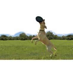 KONG Extreme Flyer Dog Toy -Pet Toys Shop 59199 PT3. AC SS1800 V1531423971