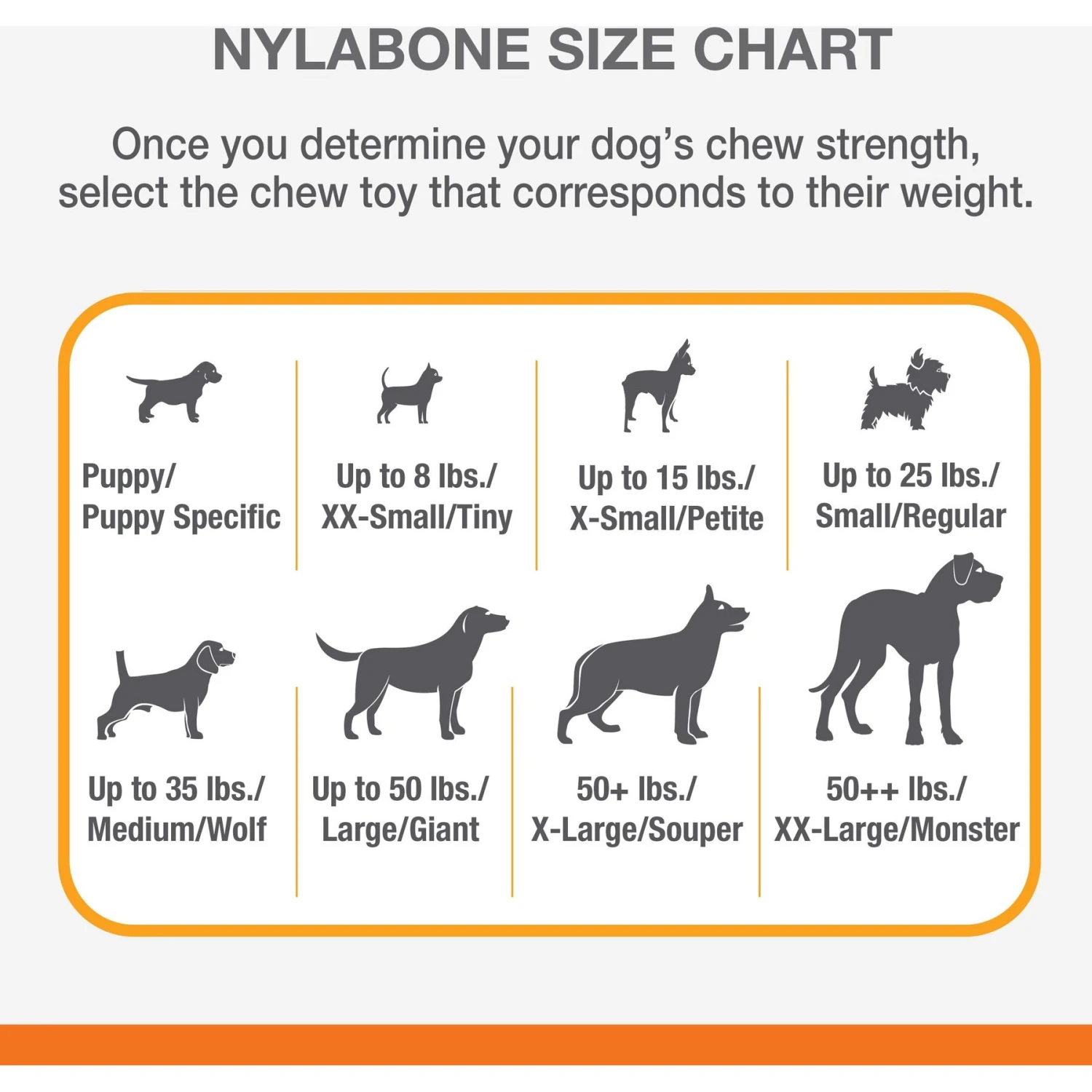 Nylabone Dental Chew & Flexi Bone Combo Pack Dog Chew Toys 5 Nylabone Dental Chew & Flexi Bone Combo Pack Dog Chew Toys - Image 5