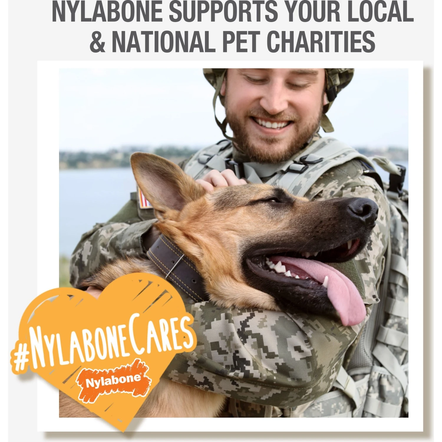 Nylabone Dental Chew & Flexi Bone Combo Pack Dog Chew Toys 6 Nylabone Dental Chew & Flexi Bone Combo Pack Dog Chew Toys - Image 6