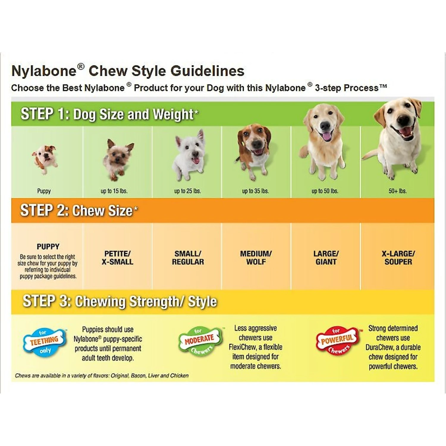 Nylabone Dental Chew & Flexi Bone Combo Pack Dog Chew Toys 9 Nylabone Dental Chew & Flexi Bone Combo Pack Dog Chew Toys - Image 9