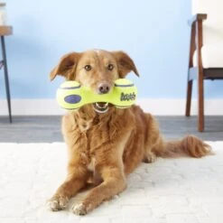 KONG AirDog Dumbbell Dog Toy -Pet Toys Shop 59301 PT3. AC SS1800 V1603145483