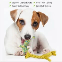 SunGrow Aggressive Chewers Small Dog & Cat Tug Of War Rope & Chase Teething Toys, 2 Count -Pet Toys Shop 604518 PT4. AC SS1800 V1697054916