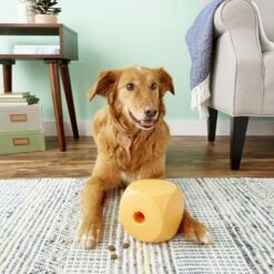 OurPets Buster Food Cube Dog Toy, Color Varies -Pet Toys Shop 60943 PT4. AC SS1800 V1530910368