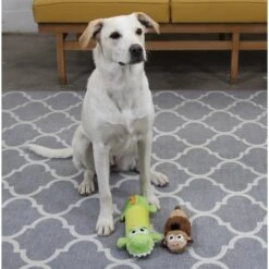 Petstages Monkey Stuffing-Free Squeaky Dog Plush Toy 11 Petstages Monkey Stuffing-Free Squeaky Dog Plush Toy -Pet Toys Shop 62012 PT4. AC SS1800 V1636508189