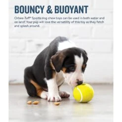 Planet Dog Orbee-Tuff Sport Tennis Ball Tough Dog Chew Toy -Pet Toys Shop 62264 PT3. AC SS1800 V1646781690