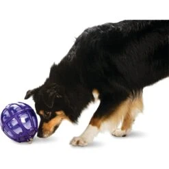 PetSafe Busy Buddy Kibble Nibble Treat Dispenser Dog Toy -Pet Toys Shop 63854 PT2. AC SS1800 V1602289560