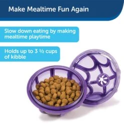 PetSafe Busy Buddy Kibble Nibble Treat Dispenser Dog Toy -Pet Toys Shop 63854 PT7. AC SS1800 V1602328559