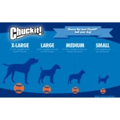 Chuckit! Fetch Ball Dog Toy, Color Varies -Pet Toys Shop 64787 PT8. AC SS1800 V1530222881
